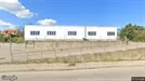 Lager til leje, Nykøbing Sjælland, Algade<span class="blurred street-number" onclick="ProcessAdRequest(342403)"><span class="hint">Se vejnr.</span>[xxxxxxxx]</span>