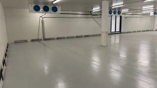 Lagerlokaler til leje i Hvidovre - billede 4