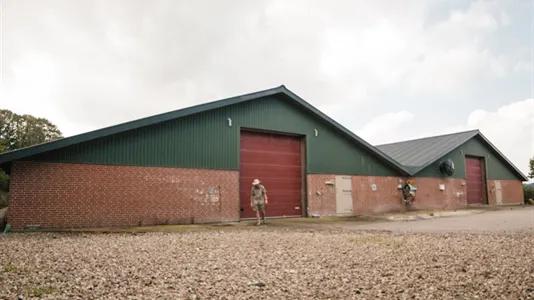 Lagerlokaler til leje i Daugård - billede 5